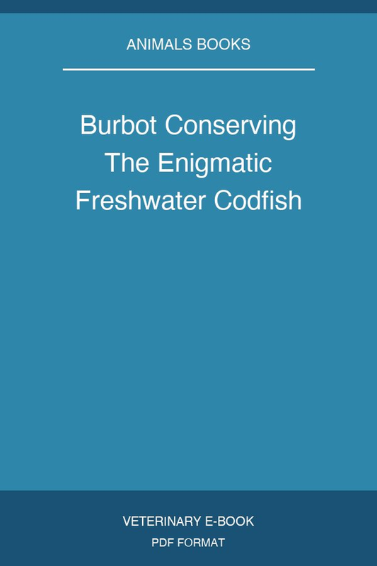 Burbot Conserving The Enigmatic Freshwater Codfish