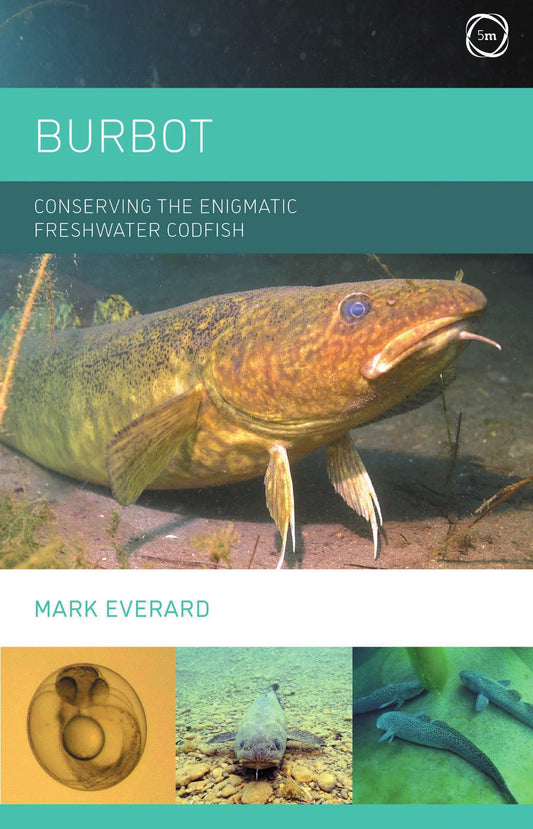 Burbot Conserving The Enigmatic Freshwater Codfish