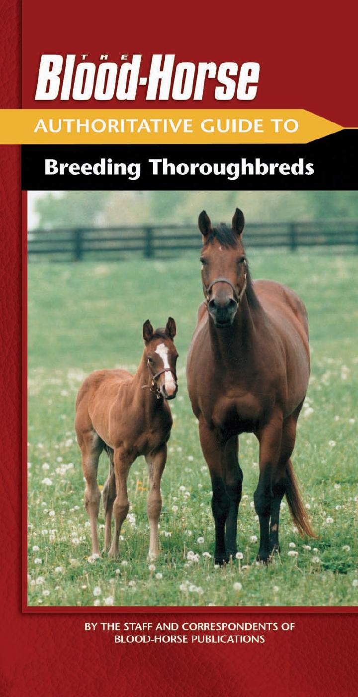 The Blood-Horse: Authoritative Guide to Breeding Thoroughbreds