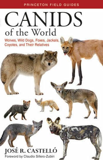 Canids of the World — Wolves, Wild Dogs, Foxes, Jackals, Coyotes, and Their Relatives