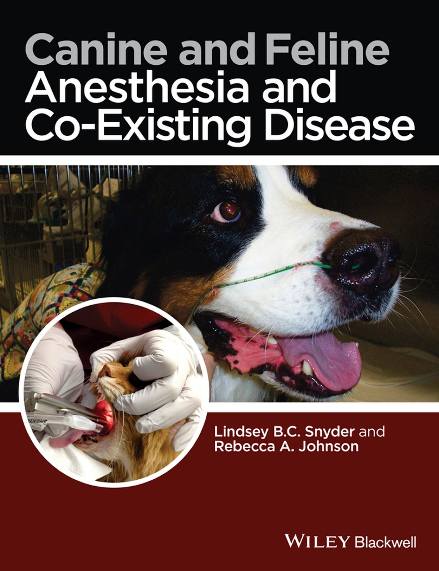 Canine And Feline Anesthesia And Co Existing Disease