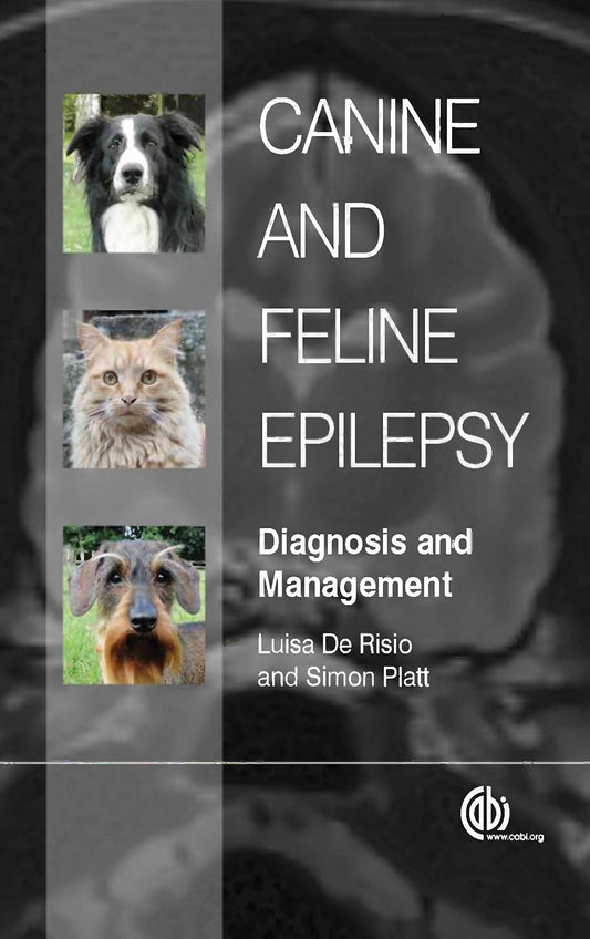 Canine And Feline Epilepsy Diagnosis And Management