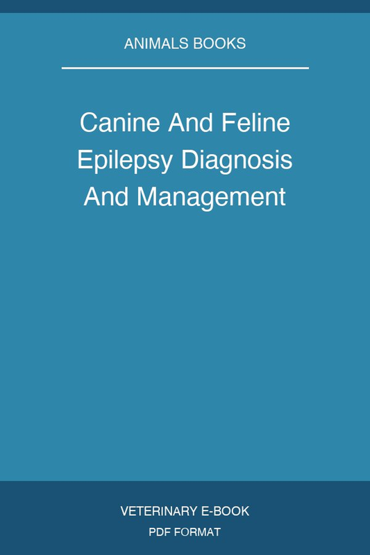 Canine And Feline Epilepsy Diagnosis And Management