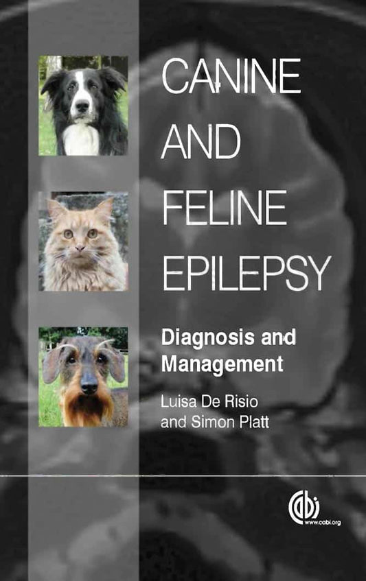 Canine And Feline Epilepsy Diagnosis And Management