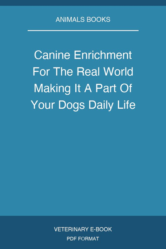 Canine Enrichment For The Real World Making It A Part Of Your Dogs Daily Life