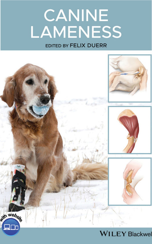 Canine Lameness