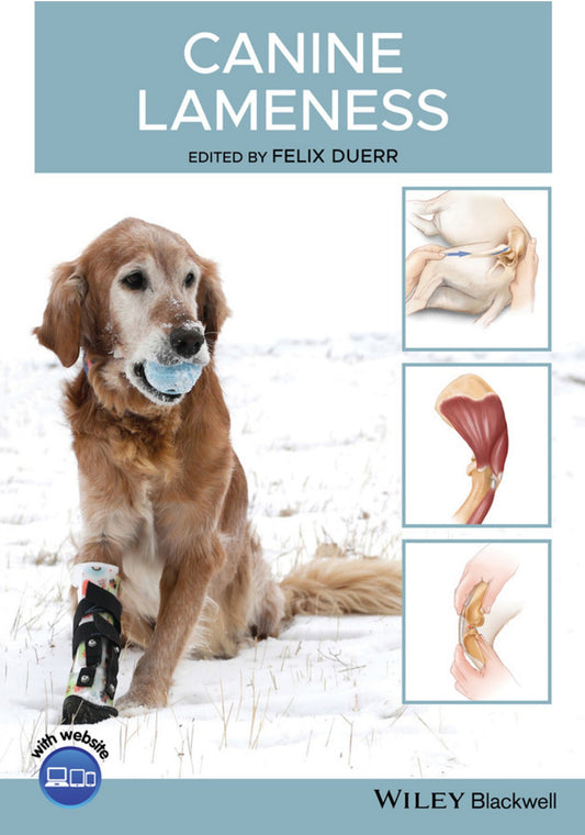 Canine Lameness Pdf