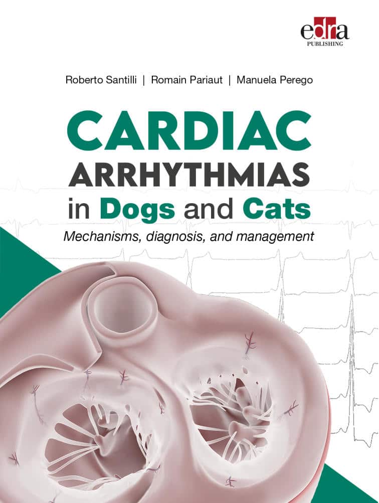 Cardiac Arrhythmias In Dogs And Cats Mechanisms Diagnosis And Management