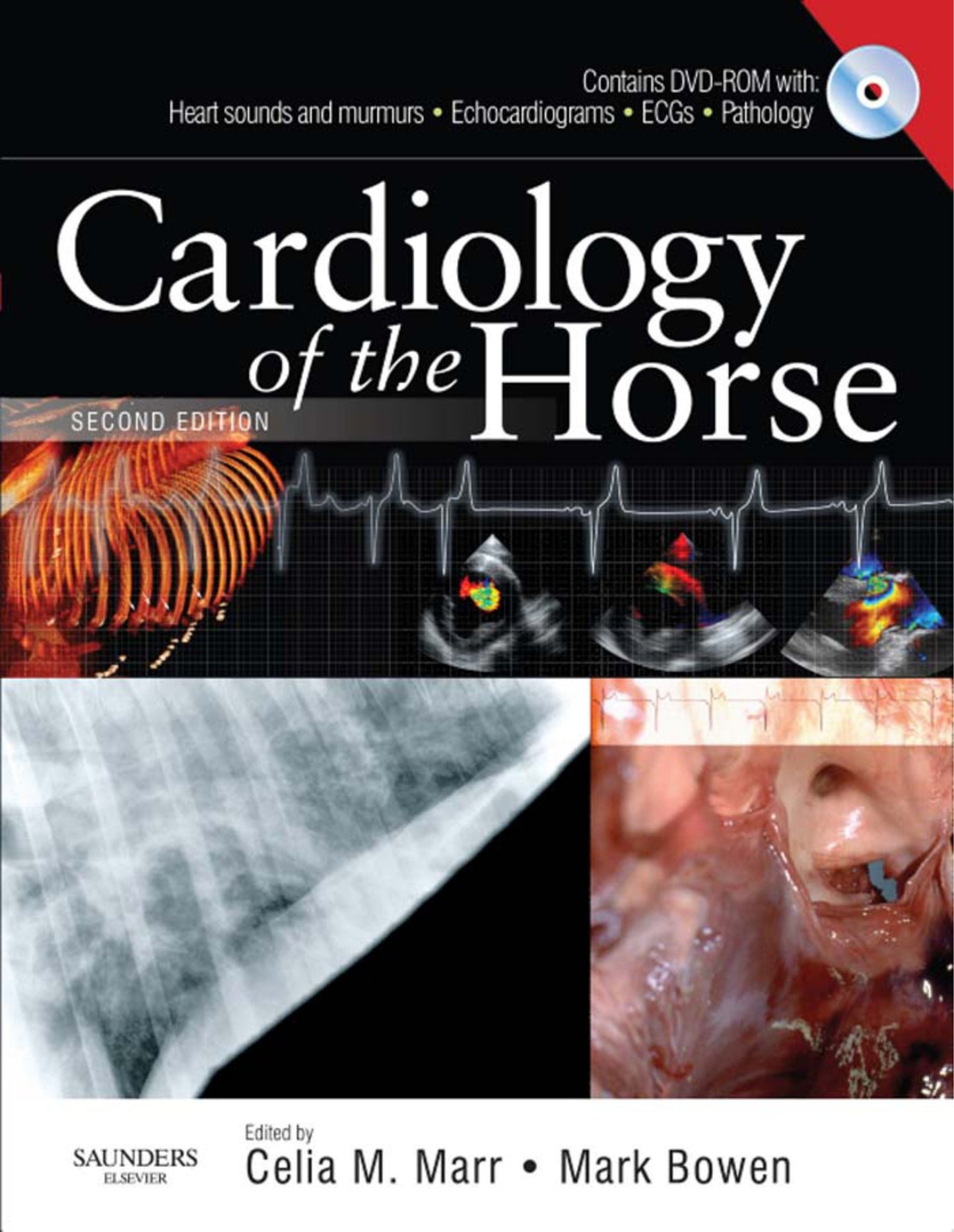 Cardiology Of The Horse 2nd Edition