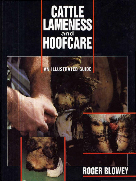Cattle Lameness And Hoofcare — An Illustrated Guide