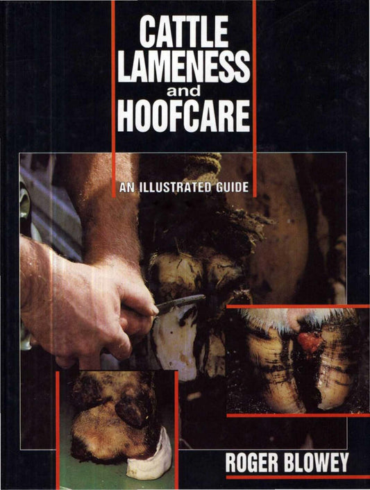 Cattle Lameness And Hoofcare An Illustrated Guide