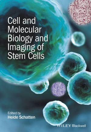 Cell And Molecular Biology And Imaging Of Stem Cells