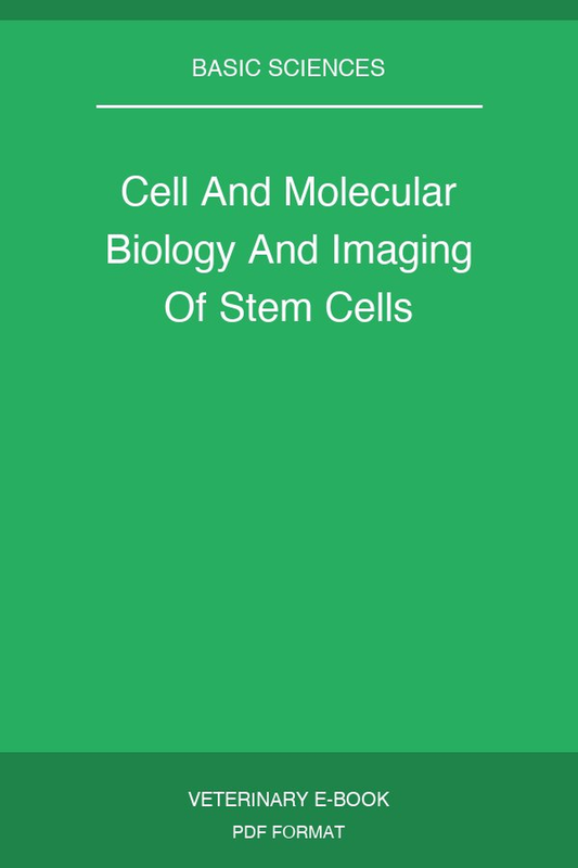 Cell And Molecular Biology And Imaging Of Stem Cells