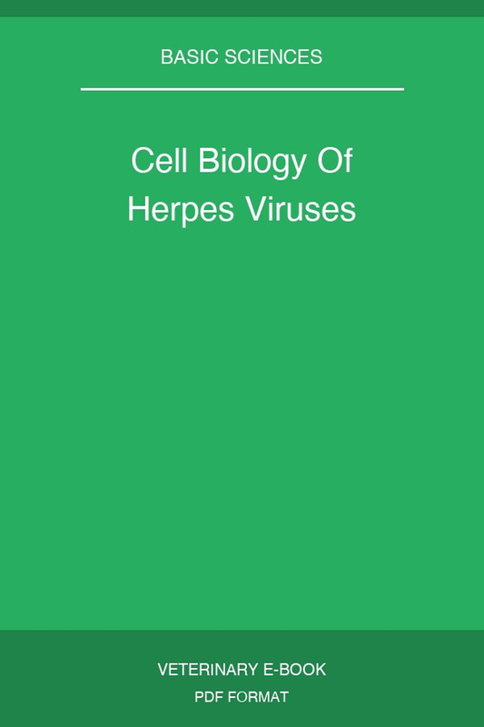 Cell Biology Of Herpes Viruses