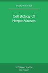 Cell Biology Of Herpes Viruses