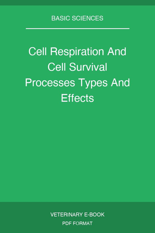 Cell Respiration And Cell Survival Processes Types And Effects
