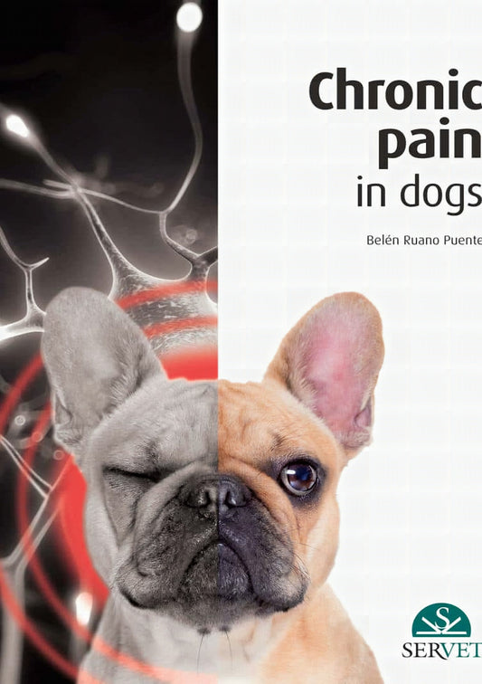Chronic Pain In Dogs