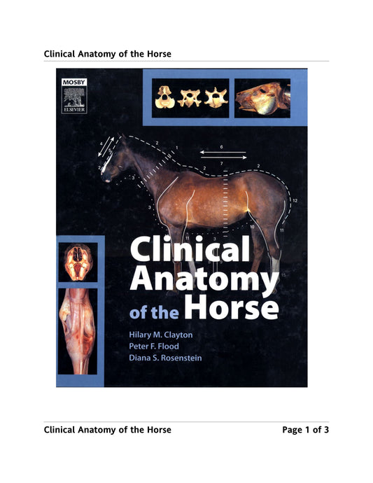 Clinical Anatomy Of The Horse 1St Edition