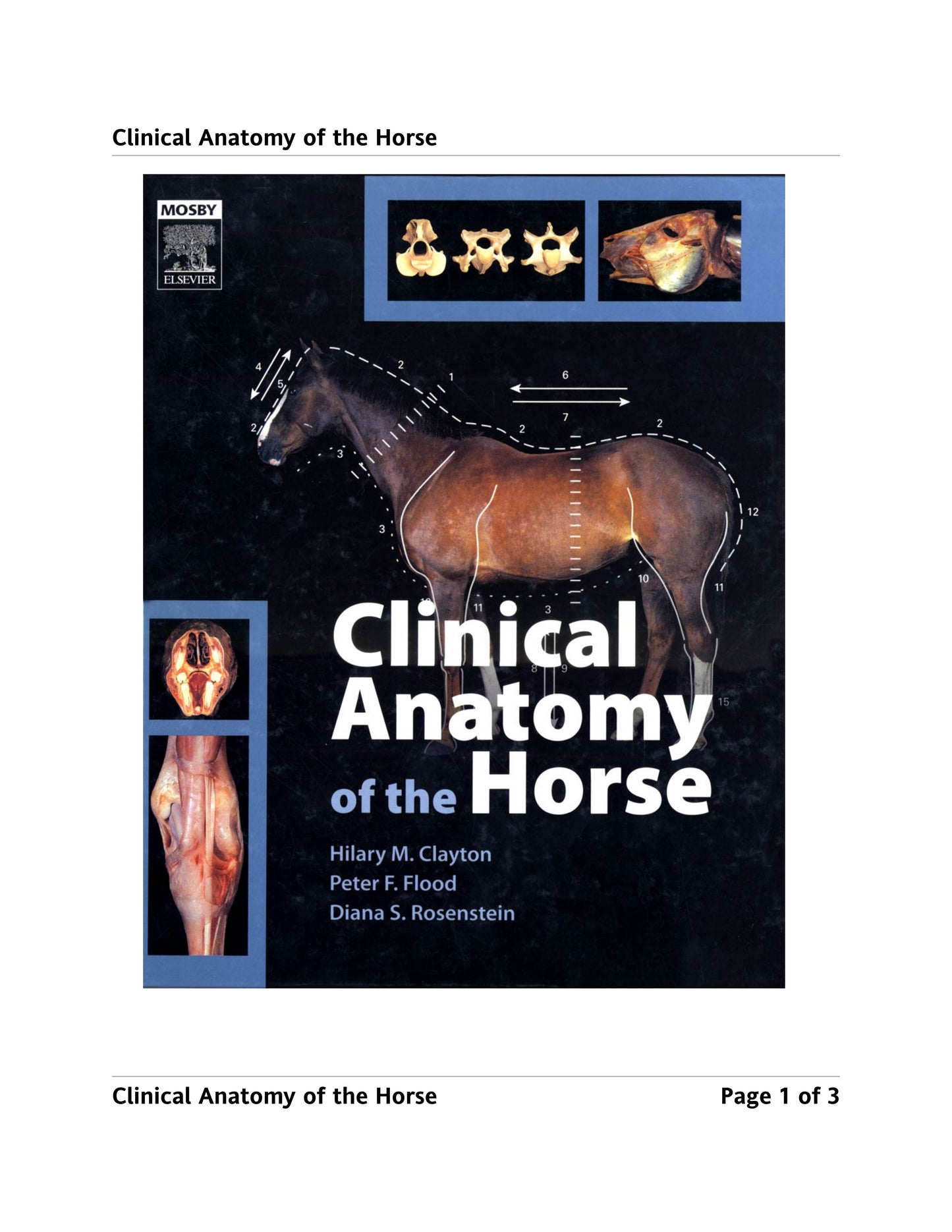 Clinical Anatomy Of The Horse 1St Edition