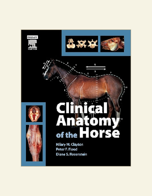 Clinical Anatomy of the Horse 1st Edition
