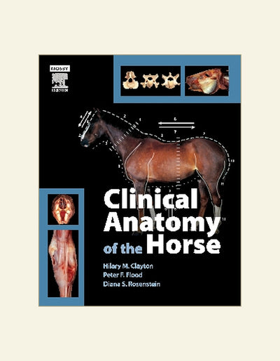 Clinical Anatomy of the Horse 1st Edition