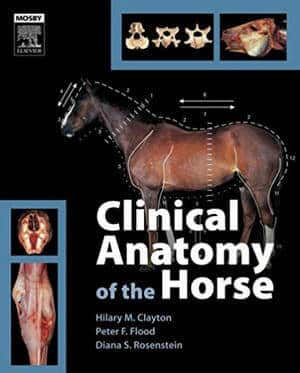 Clinical Anatomy Of The Horse 1St Edition