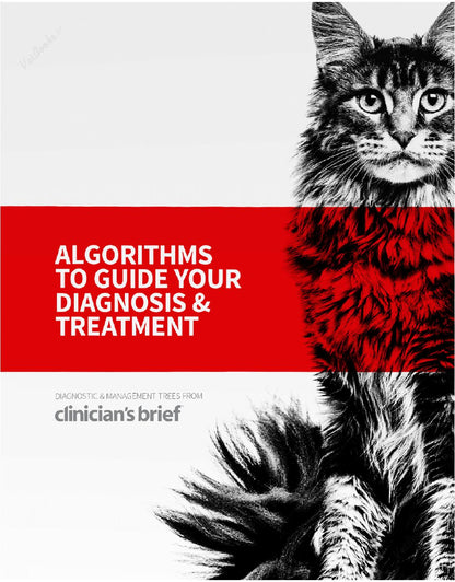 Clinician's Brief Algorithms to Guide Your Diagnosis and Treatment