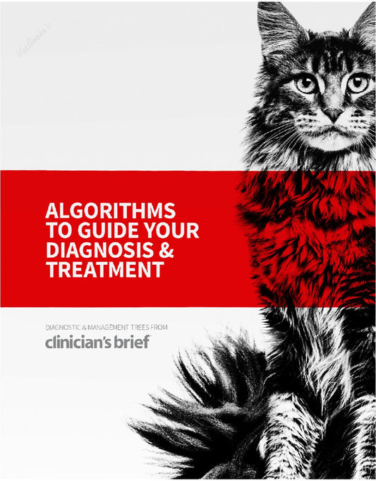 Clinician's Brief Algorithms to Guide Your Diagnosis and Treatment