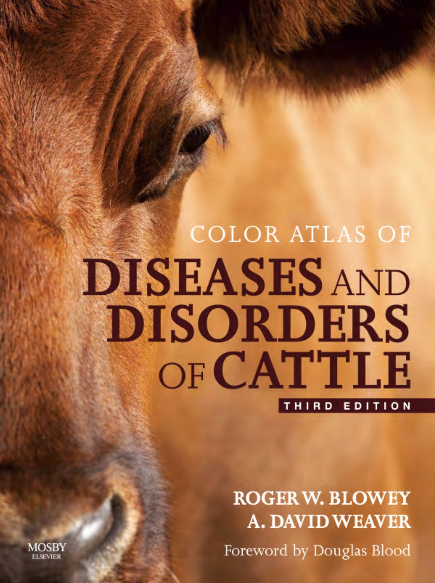 Color Atlas Diseases Disorders Cattle 3Rd Edition