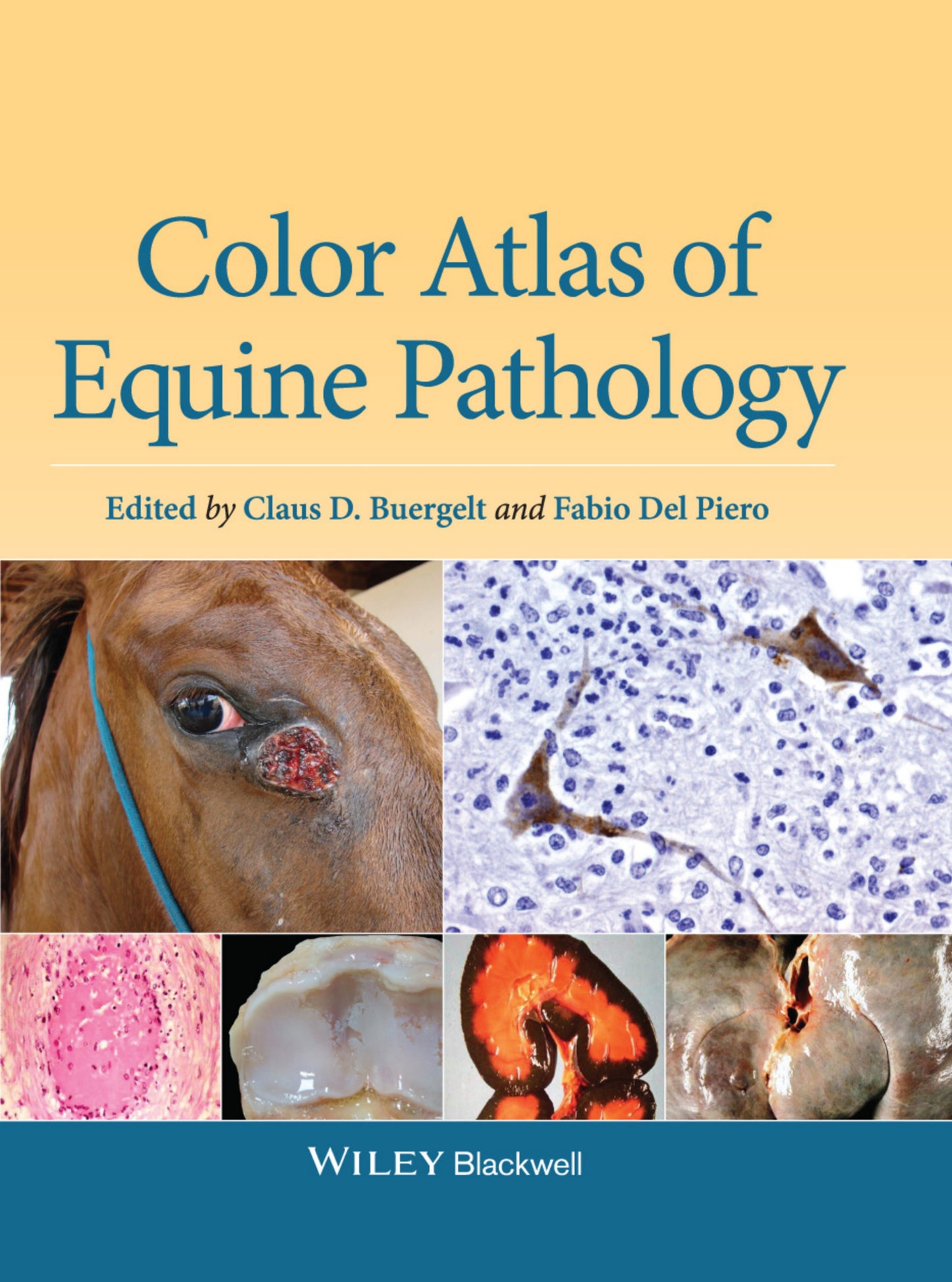 Color Atlas Equine Pathology
