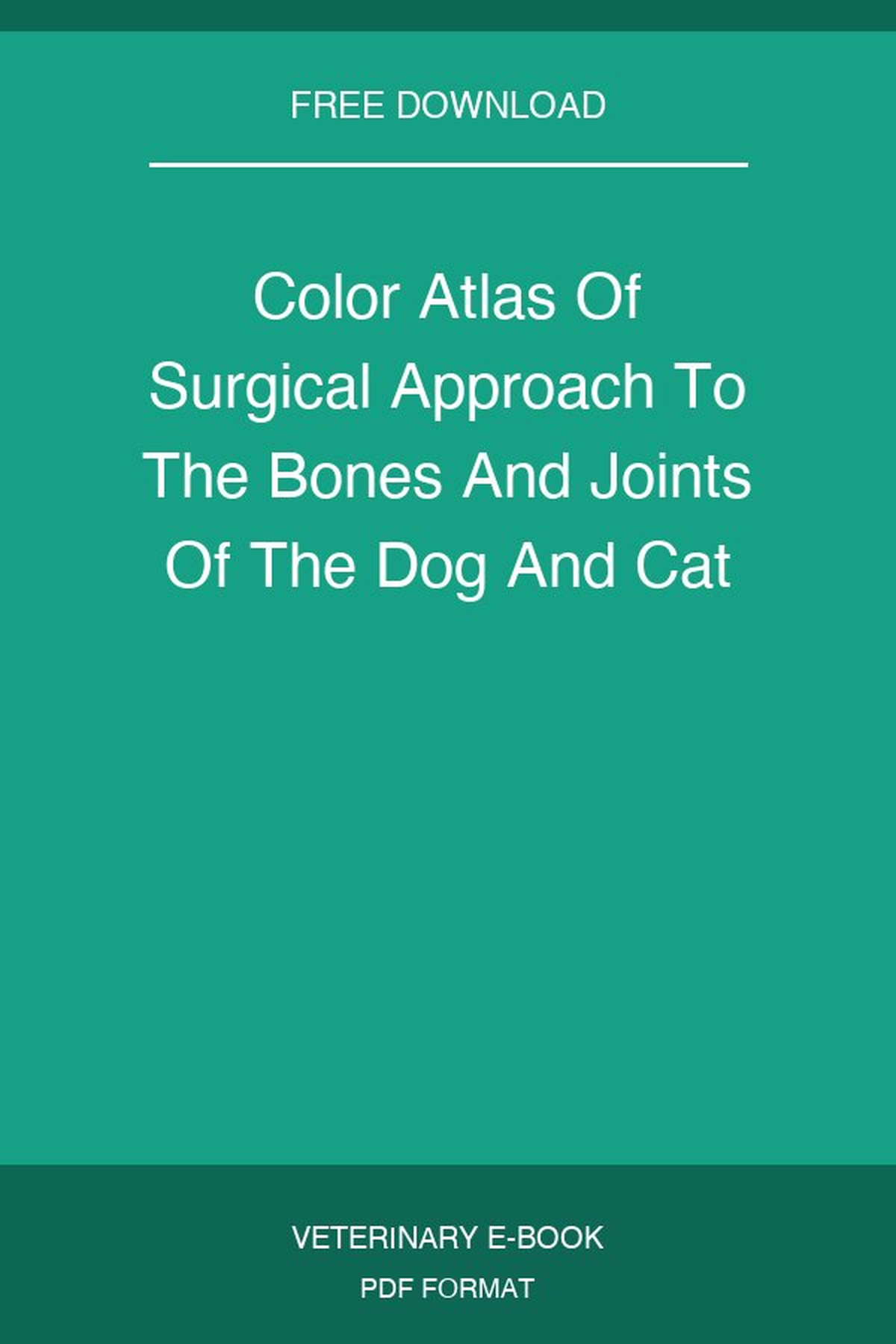Color Atlas Of Surgical Approach To The Bones And Joints Of The Dog And Cat