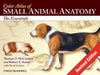 Color Atlas Small Animal Anatomy Essentials