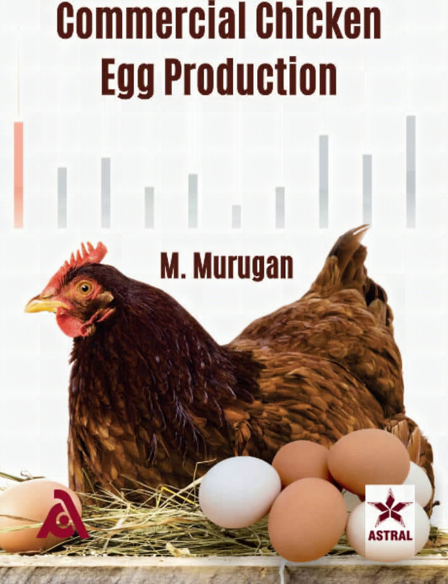 Commercial Chicken Egg Production