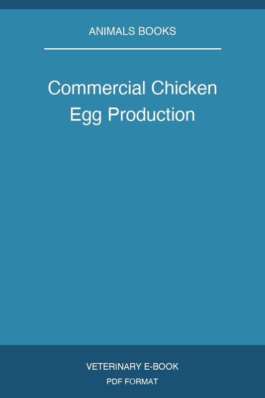 Commercial Chicken Egg Production