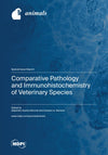 Comparative Pathology And Immunohistochemistry Of Veterinary Species