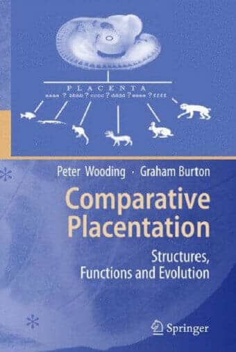 Comparative Placentation Structures Functions And Evolution