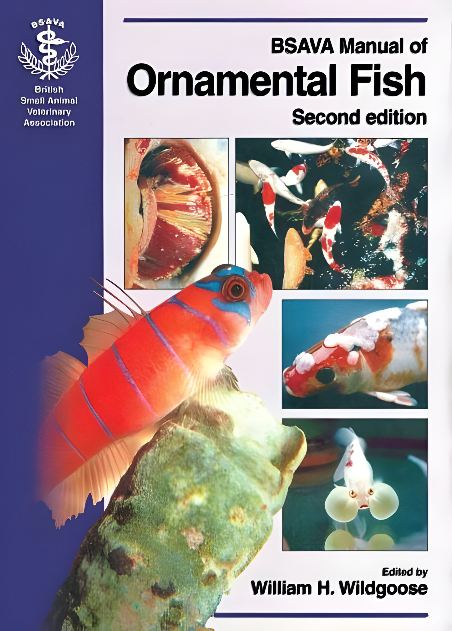 BSAVA Manual of Ornamental Fish, 2nd Edition