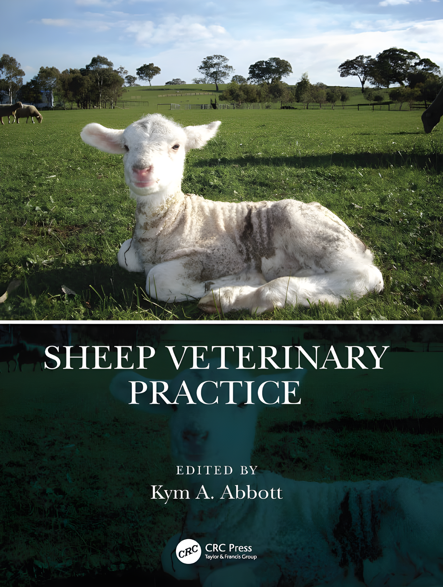 Pain Management in Veterinary Practice