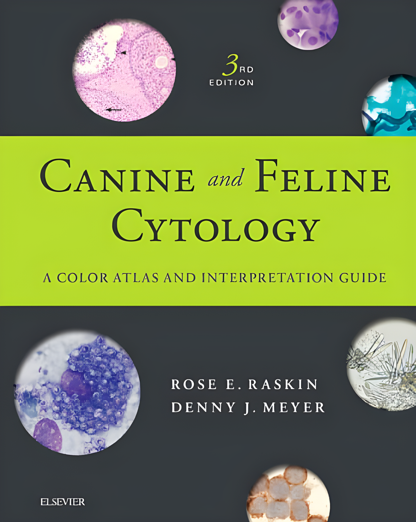 Basic Monitoring in Canine and Feline Emergency Patients