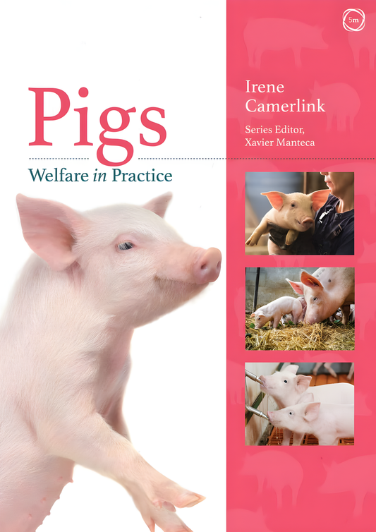 Pigs, Welfare in Practice