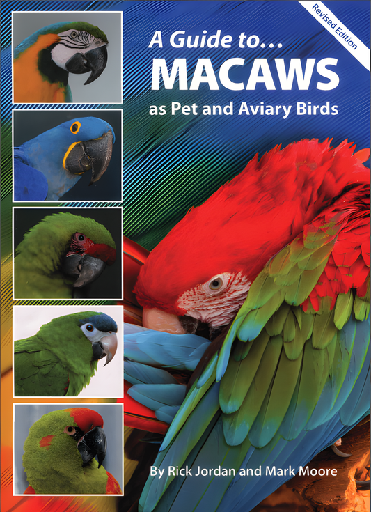 A Guide to Macaws as Pet and Aviary Birds