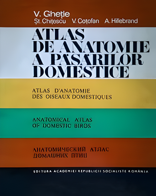 Ghetie Anatomical Atlas Of Domestic Birds