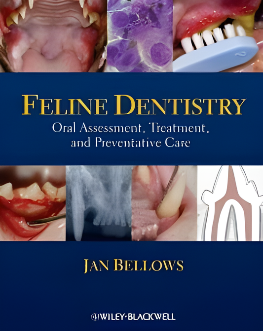 Feline Dentistry - Oral Assessment, Treatment, and Preventative Care