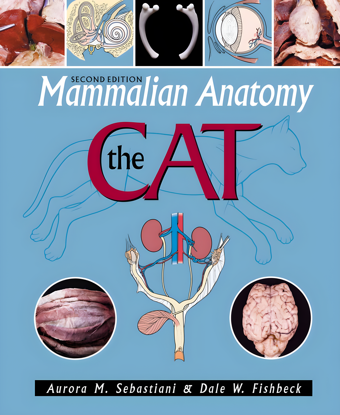 Miller and Evans' Anatomy of the Dog, 5th Edition