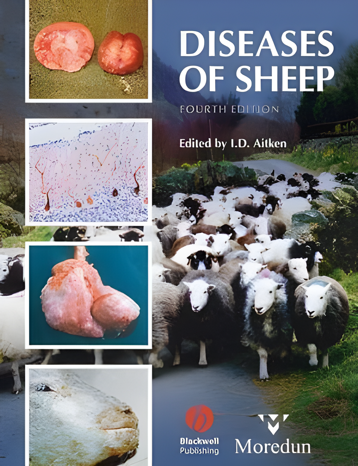 Diseases of Sheep 4th Edition