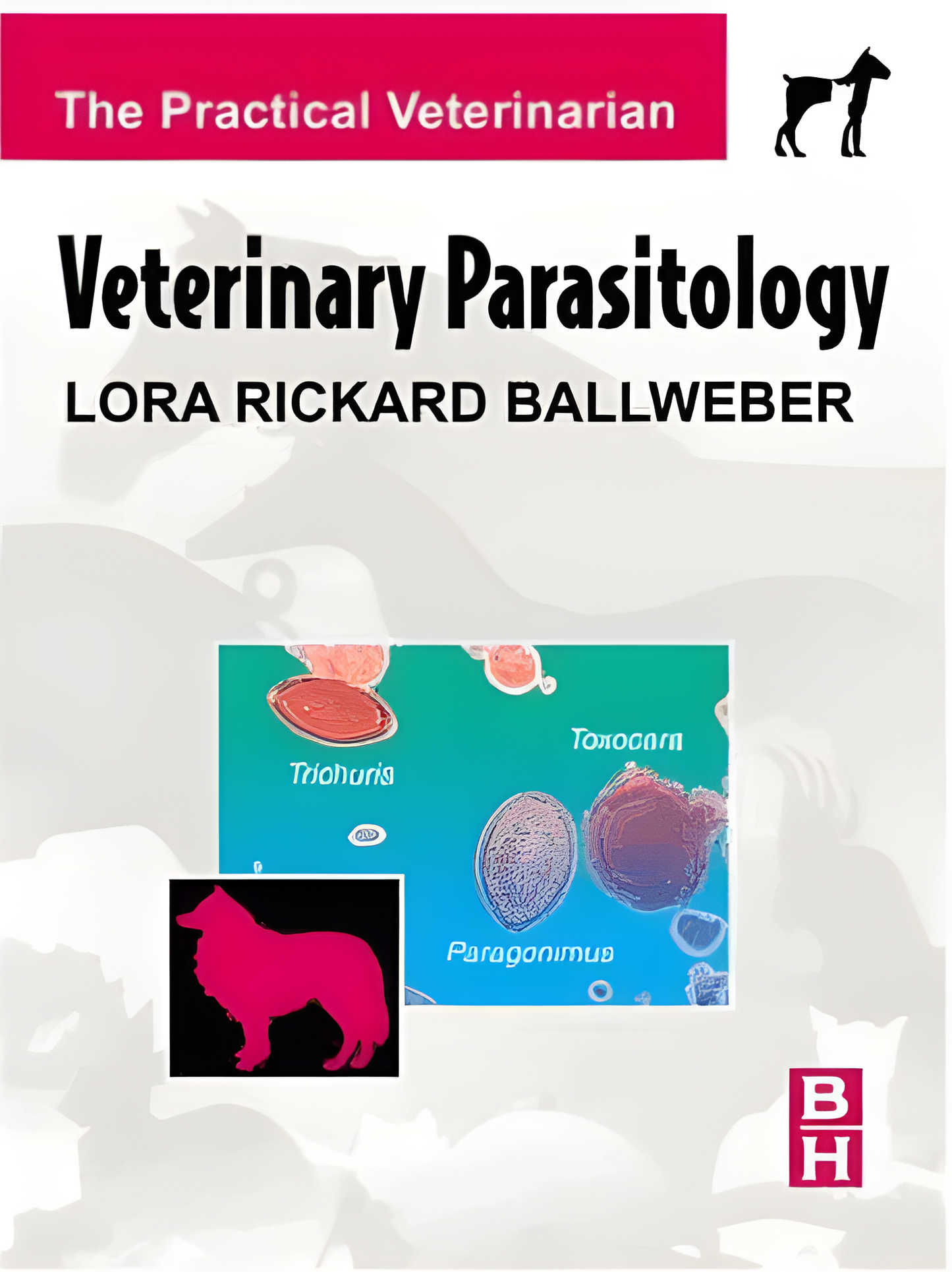 Veterinary Anesthesia The Practical Veterinarian Series
