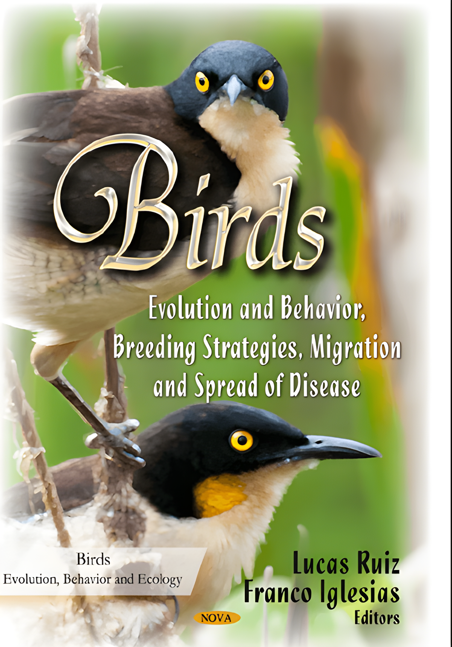 Avian Cognition Exploring The intelligence, Behavior and Individuality of Birds