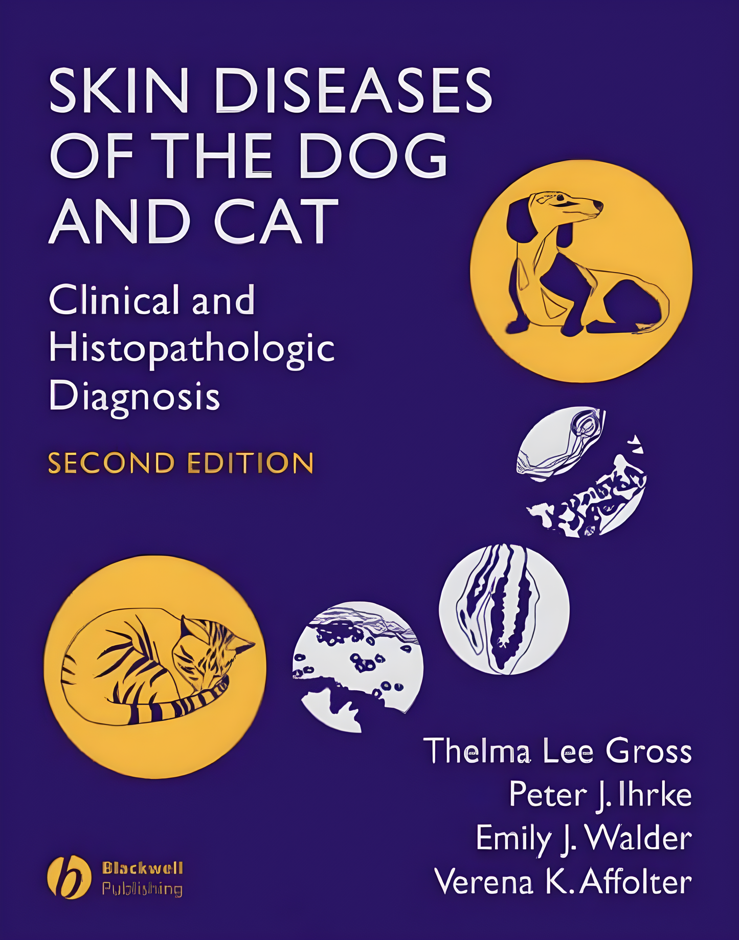 Clinical Approach to Feline Dermatologic Diseases