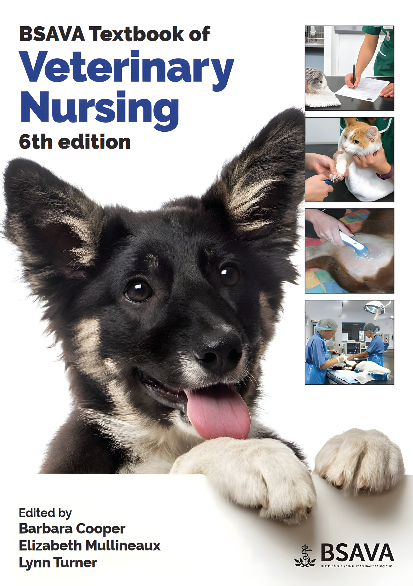 BSAVA Textbook of Veterinary Nursing, 6th Edition