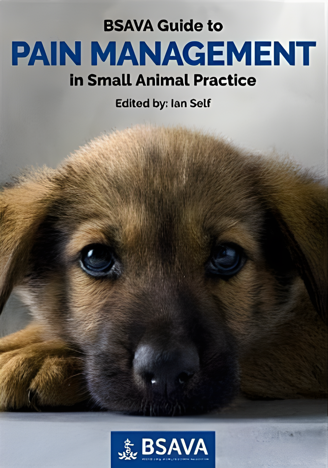 BSAVA Guide to Pain Management in Small Animal Practice